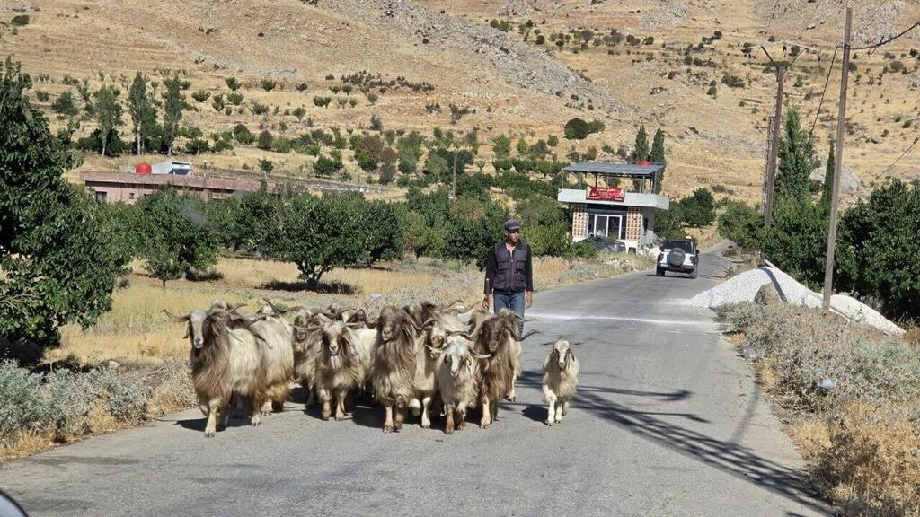 The Syrian village of Khader (Photo: Yair Kraus) הכפר הסורי חאדר