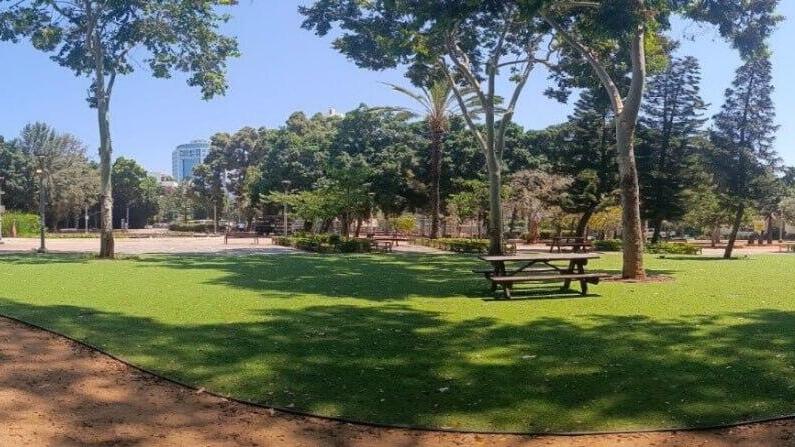 Natural green grass (Photo: Courtesy of Adam Teva v'Din) הדשא הטבעי והירוק