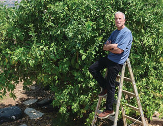 ח"כ שטרן, השבוע. "אסור שביבי יהיה ראש ממשלה, אבל הציבור שלו לא פסול"