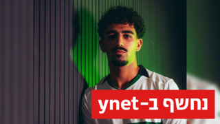 רוי רביבו