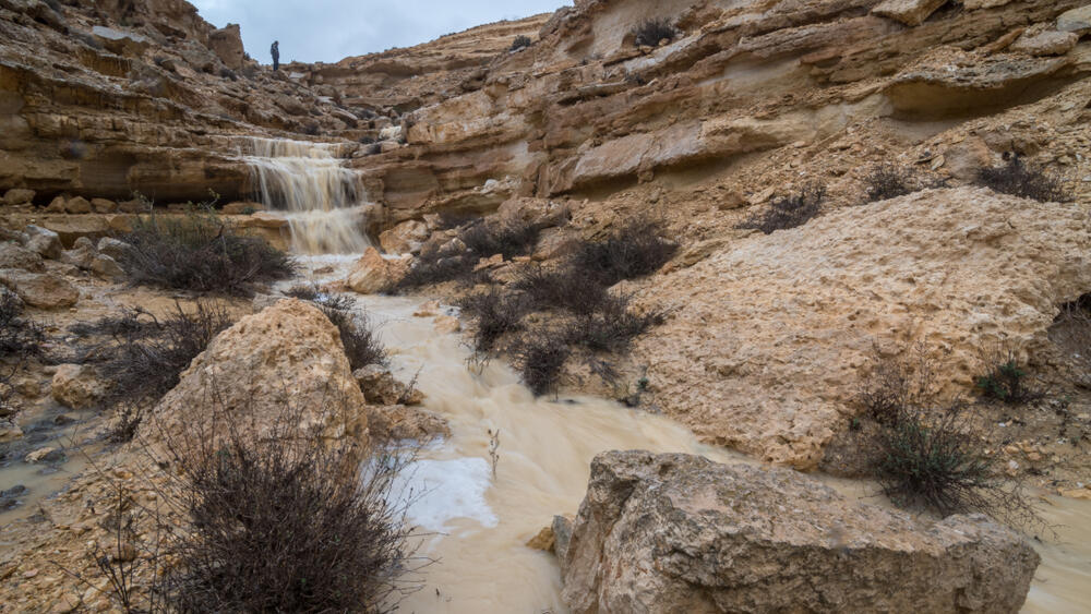 Flooding in southern Israel (Photo: Oren Ravid / Shutterstock) שיטפון בדרום הארץ