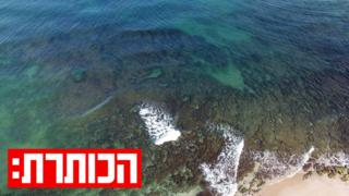  האצות באזור פלמחים, בשבוע שעבר