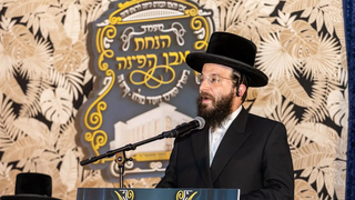 אליקים שטארק מחסידות בעלז