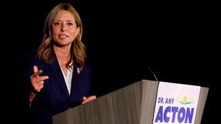 Democratic gubernatorial candidate Dr. Amy Acton  