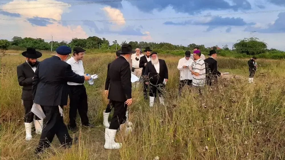 The Jewish cemetery in Thailand (Photo: jewishthailand website) בית קברות יהודי בתאילנד