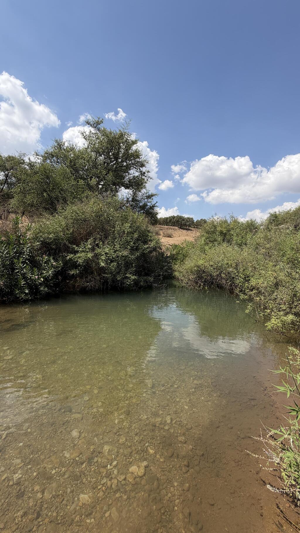 Don’t stop at this spot — keep going (Photo: Courtesy of Chen Yosef) נחל צלמון