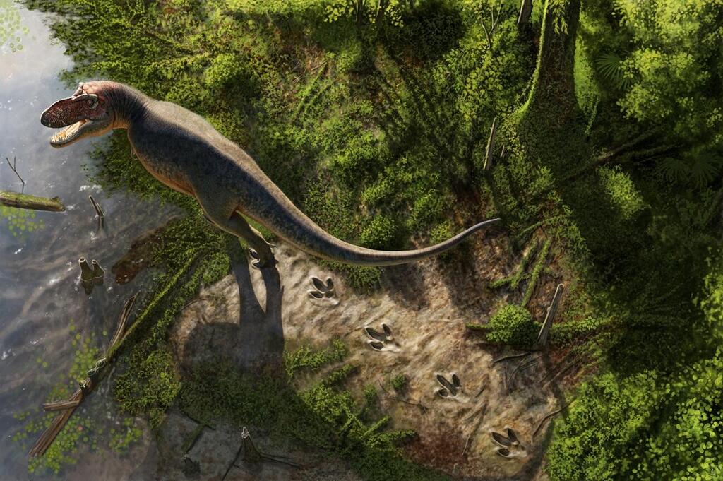 Rendering of a Tyrannosaurus rex roaming the landscape about 66.5 million years ago, leaving footprints behind (Illustration: Andrey Atuchin) הדמיה של טירנוזאורוס רקס משוטט במרחב לפני כ-66.5 מיליון שנים
