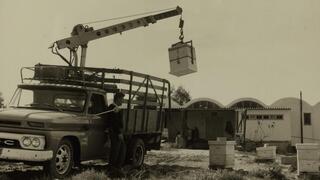 המנוף הראשון של הכוורות ב-1963