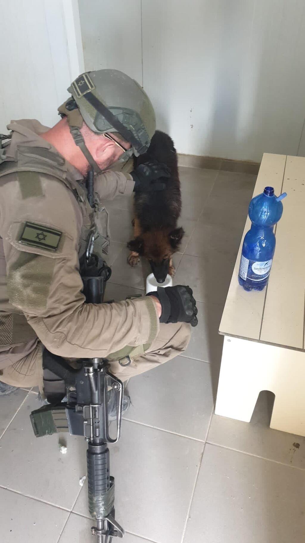 IDF troops helped as well ככל שעבר הזמן, הצואה המאובנת של בני תור הקמבריון הלכה וגדלה. בתמונה: מיקרו-צואה תחת המיקרוסקופ. מקור: Kimmig & Bicknell / Trends in Ecology & Evolution