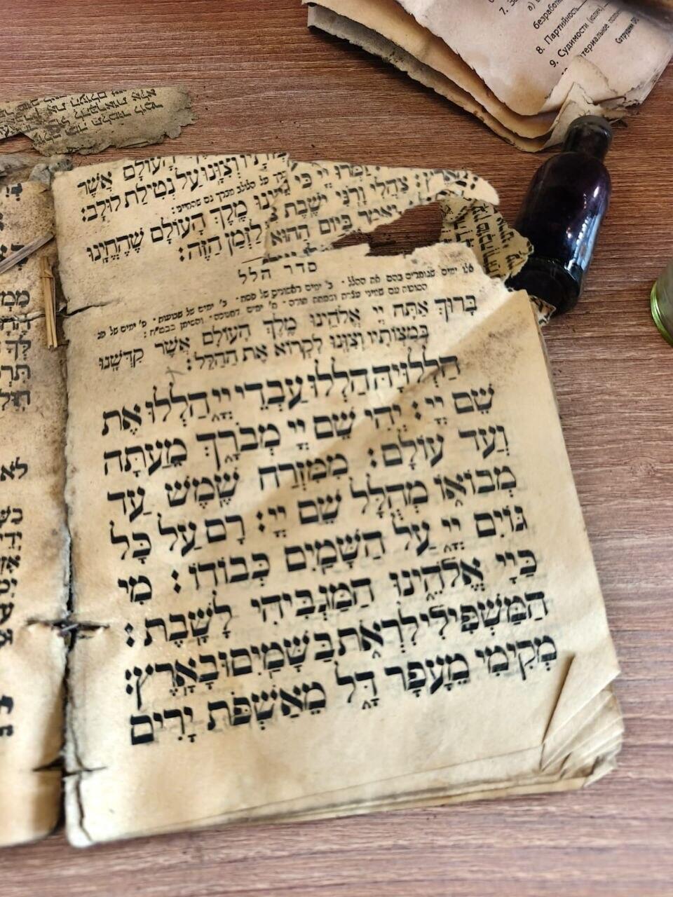 Hallel service in the prayer book (Photo: Mendy Mor Yosef) ככל שעבר הזמן, הצואה המאובנת של בני תור הקמבריון הלכה וגדלה. בתמונה: מיקרו-צואה תחת המיקרוסקופ. מקור: Kimmig & Bicknell / Trends in Ecology & Evolution