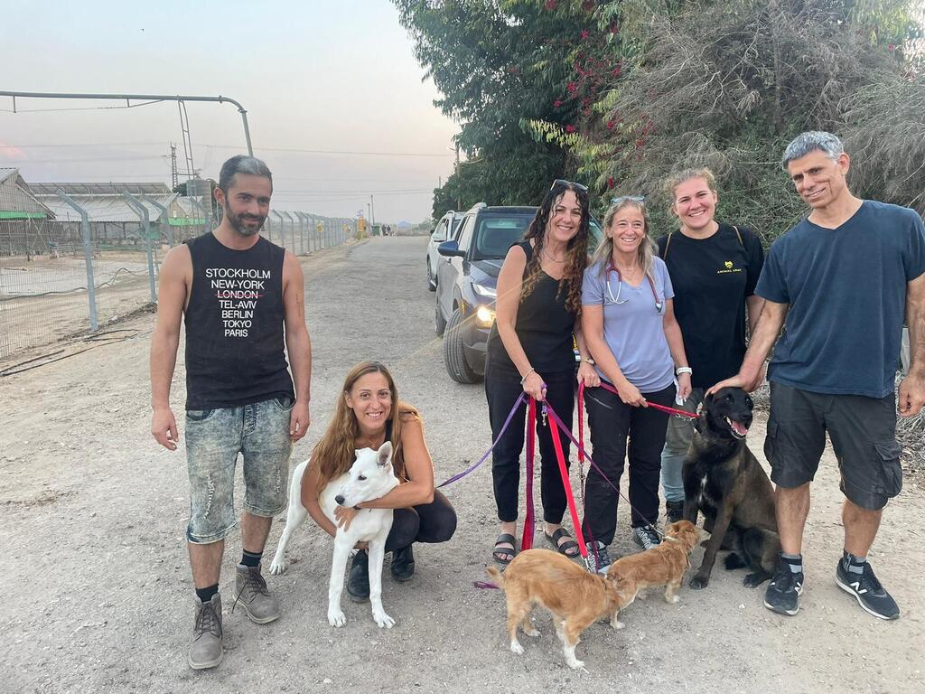 Dr. Melman-Shalev and volunteers ככל שעבר הזמן, הצואה המאובנת של בני תור הקמבריון הלכה וגדלה. בתמונה: מיקרו-צואה תחת המיקרוסקופ. מקור: Kimmig & Bicknell / Trends in Ecology & Evolution