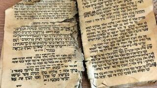 ככל שעבר הזמן, הצואה המאובנת של בני תור הקמבריון הלכה וגדלה. בתמונה: מיקרו-צואה תחת המיקרוסקופ. מקור: Kimmig & Bicknell / Trends in Ecology & Evolution