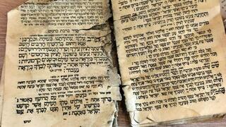 ככל שעבר הזמן, הצואה המאובנת של בני תור הקמבריון הלכה וגדלה. בתמונה: מיקרו-צואה תחת המיקרוסקופ. מקור: Kimmig & Bicknell / Trends in Ecology & Evolution