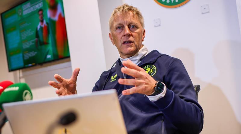 Ireland coach Heimir Hallgrimsson 