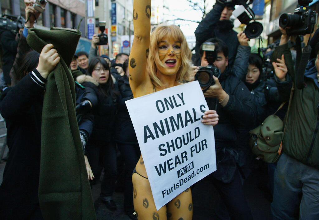 PETA demonstration in South Korea, 2005 (Photo: Chung Sung-Jun/Getty Images) הפגנה של PETA בדרום קוריאה, 2005