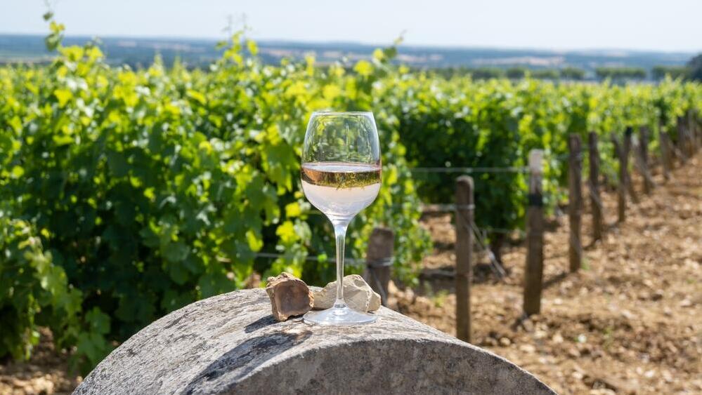 How Burgundy turned soil, history and grapes into $10,000 bottles (Photo: Shutterstock) כרם בחבל בורנגדי בצרפת