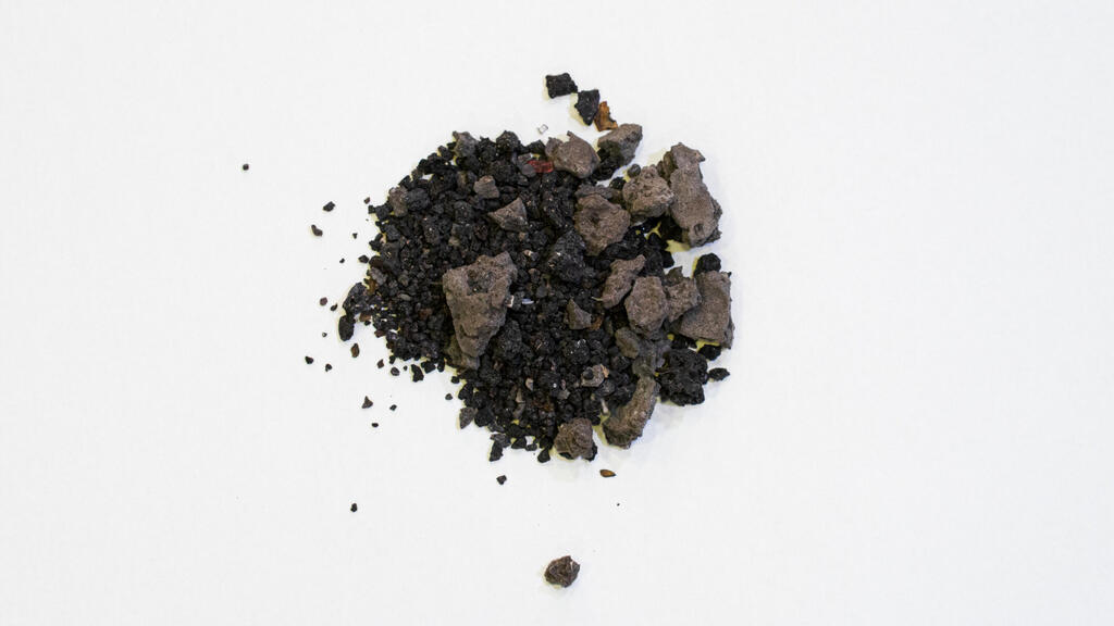 Pigment to make tekhelet (Photo: Jenny Katzner) פיגמנט מבלוטות מיובשות של חילזון ארגמון קהה-קוצים, באדיבות עמותת פתיל תכלת