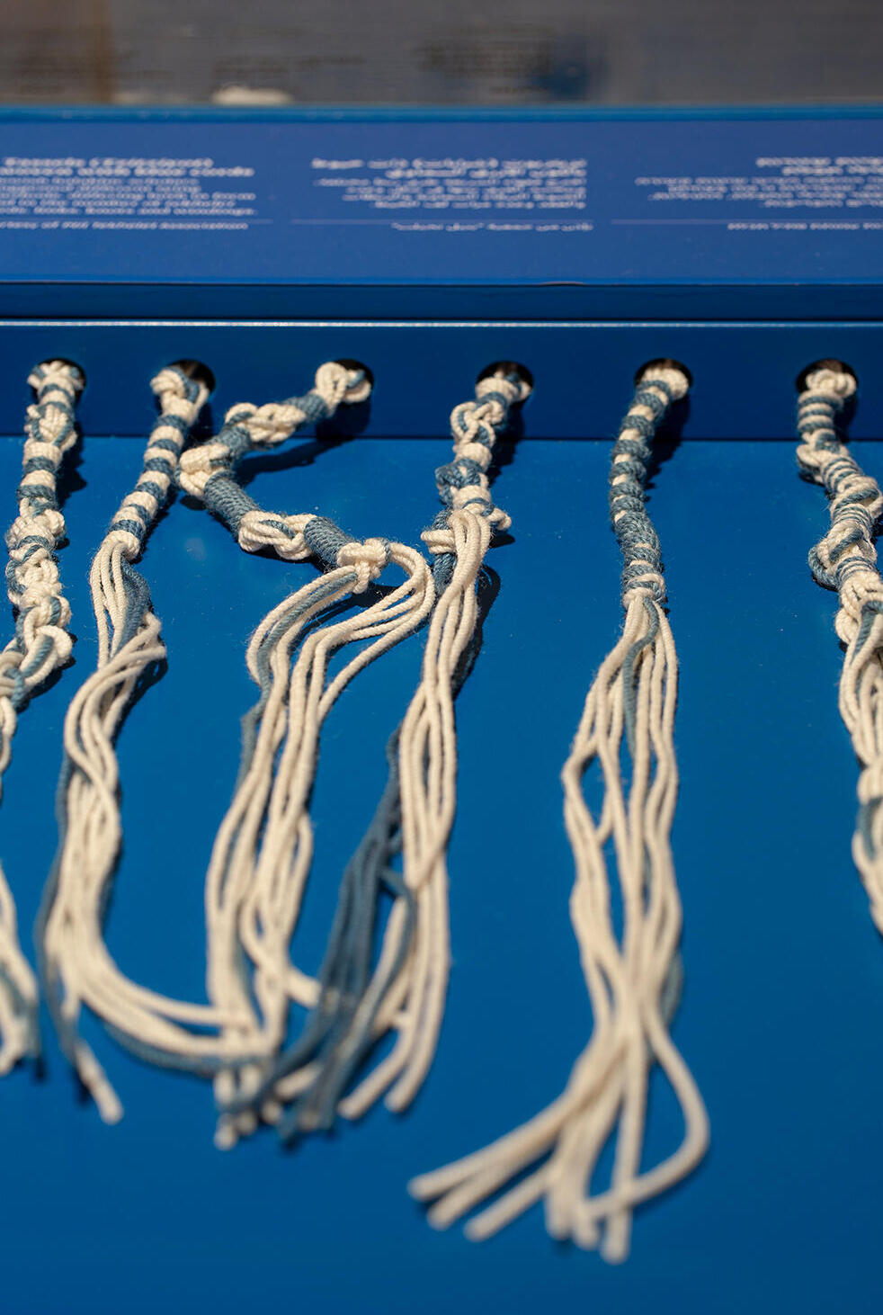 Tzitzit with a string of tehkelet (Photo: Courtesy of the Ptil Tekhelet Association, Jenny Katzner) ציציות בצבעי לבן-תכלת