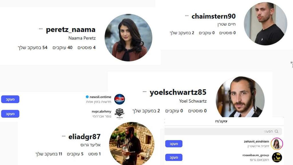 Otzma Yehudit's online influence campaign using social media bots (Photo: FakeReporter) קמפיין השפעה ברשת של עוצמה יהודית בעזרת בוטים ברשתות החברתיות