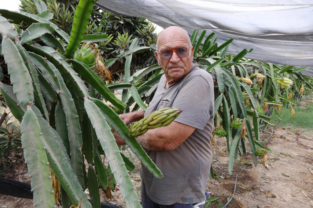 Shlomo Abarbanel (Photo: Shaul Golan) שלמה אברבנאל
