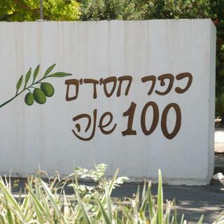  פרויקט בחירות: הערים המפולגות - כפר חסידים
