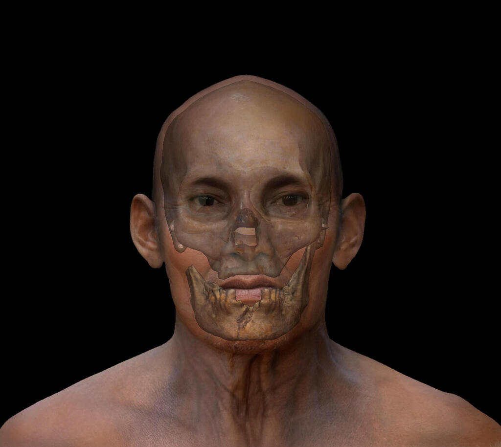 The facial reconstruction superimposed on the Punin-2 skull on which it was based (Photo: Dr. Christopher Rynn) שחזור הפנים מוצג על גבי העצמות של גולגולת "פונין-2", שעליהן הוא התבסס