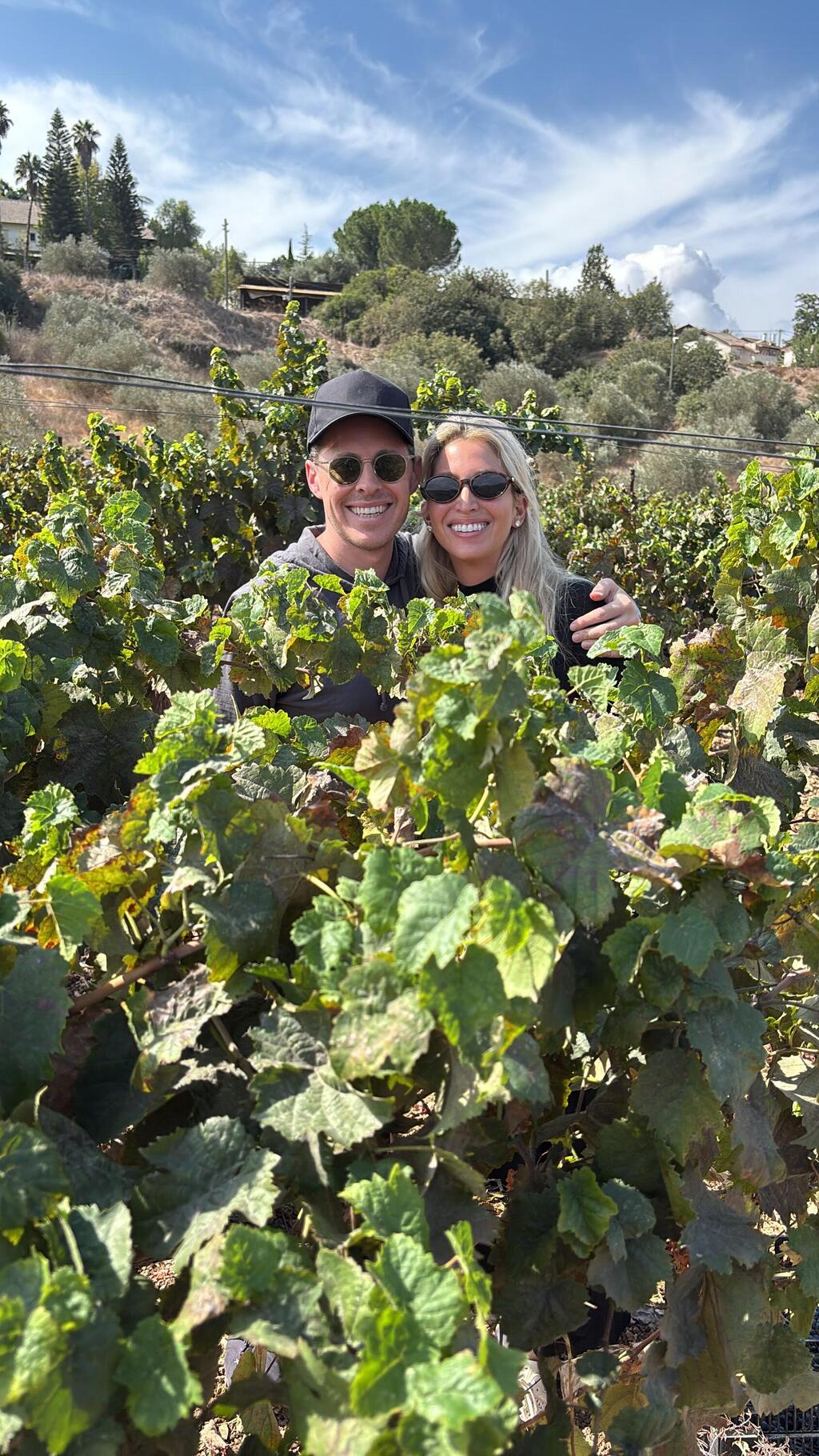 Volunteers take part in the grape harvest as hundreds of families spend the High Holidays helping Israeli farmers (Photo: Hiburim B’Haklaut) Volunteers take part in the grape harvest as hundreds of families spend the High Holidays helping Israeli farmers