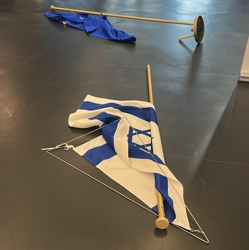 Israeli and European Union flags on the floor (Photo: X ) חברת הפרלמנט האירופית מהשמאל הקיצוני רומסת ומשחיתה את דגלי ישראל