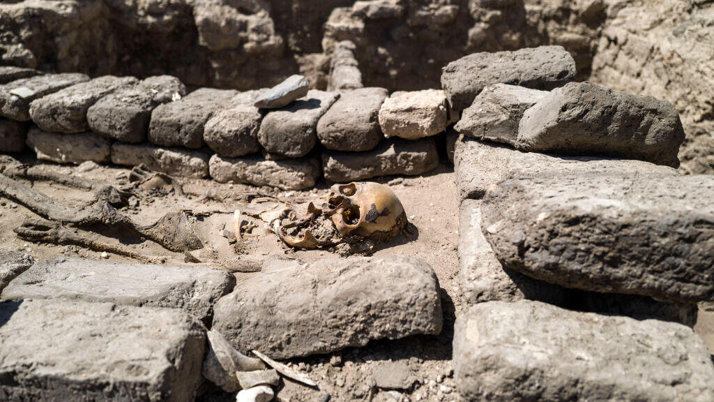 Human remains from ancient Egypt (Photo: Mahmoud Khaled/Getty Images) שרידים אנושיים מתקופת מצרים העתיקה