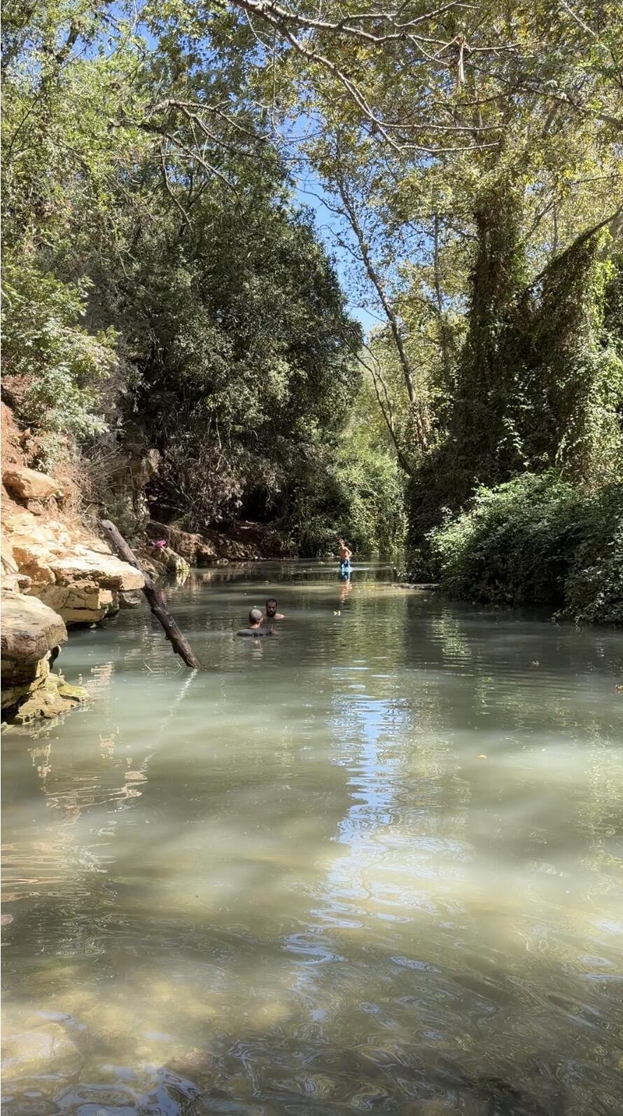 Ein Hardalit (Photo: Courtesy of Hen Yosef) טבילה מהנה רגע לפני הסתיו