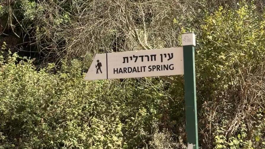 Ein Hardalit; a refreshing dip before autumn (Photo: Courtesy of Hen Yosef) טבילה מהנה רגע לפני הסתיו