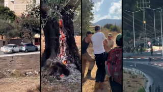 תקיפות מתנחלים בשכם, סלפית ורמאללה