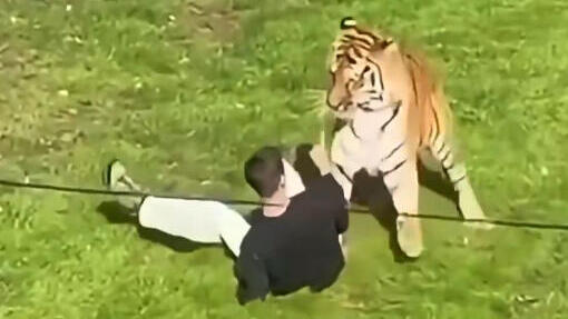 A photo said to be of the incident at Yorkshire Wildlife Parkרית (Photo: From social networks Section 27A) תיעוד שנטען כי הוא מהתקרית