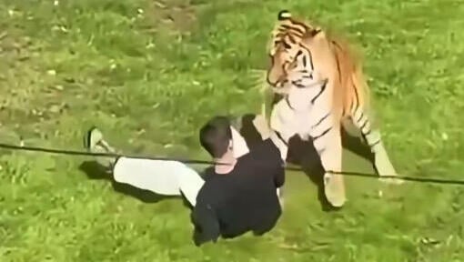 תיעוד שנטען כי הוא מהתקרית