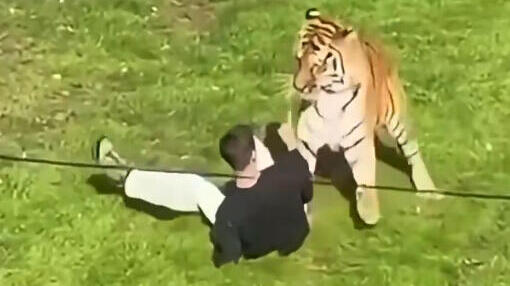 A photo said to be of the incident at Yorkshire Wildlife Park (Photo: From social networks Section 27A) תיעוד שנטען כי הוא מהתקרית