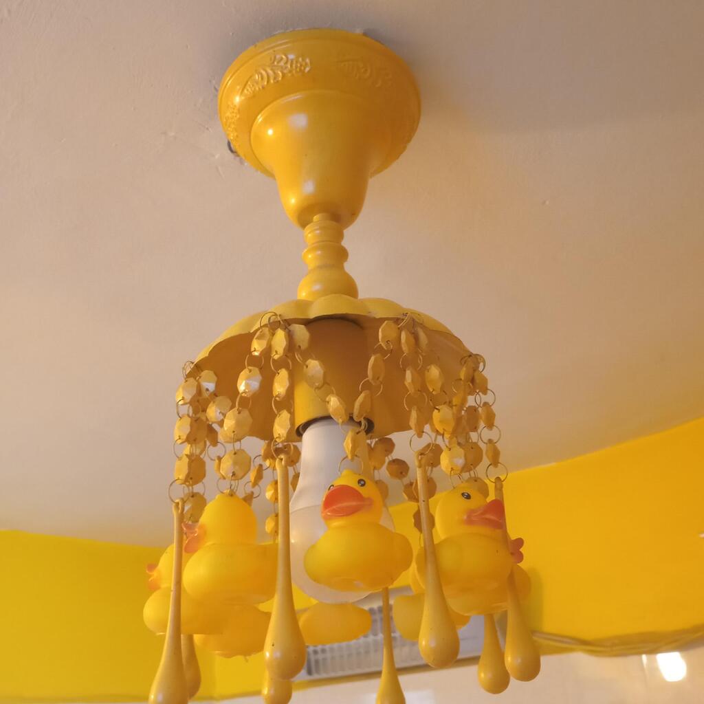 A lamp adorned with cheerful yellow rubber ducks (Photo: Private album) הדר גולן