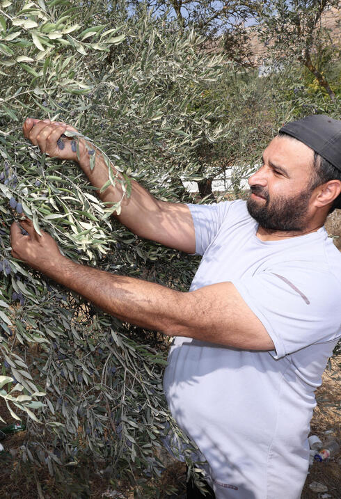 עלאם דראגמה במסיק בלובן א־שרקייה