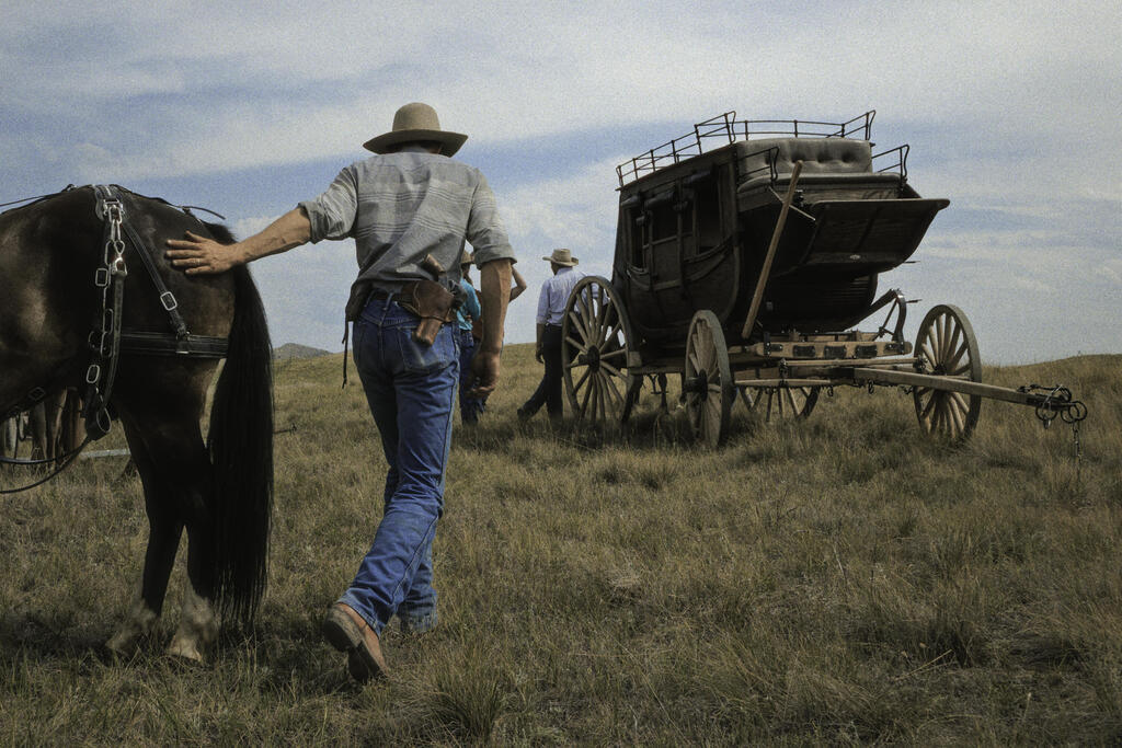 Harnessing the horses to the wagon (Photo: Dan Lior) רתימת הסוסים למרכבה