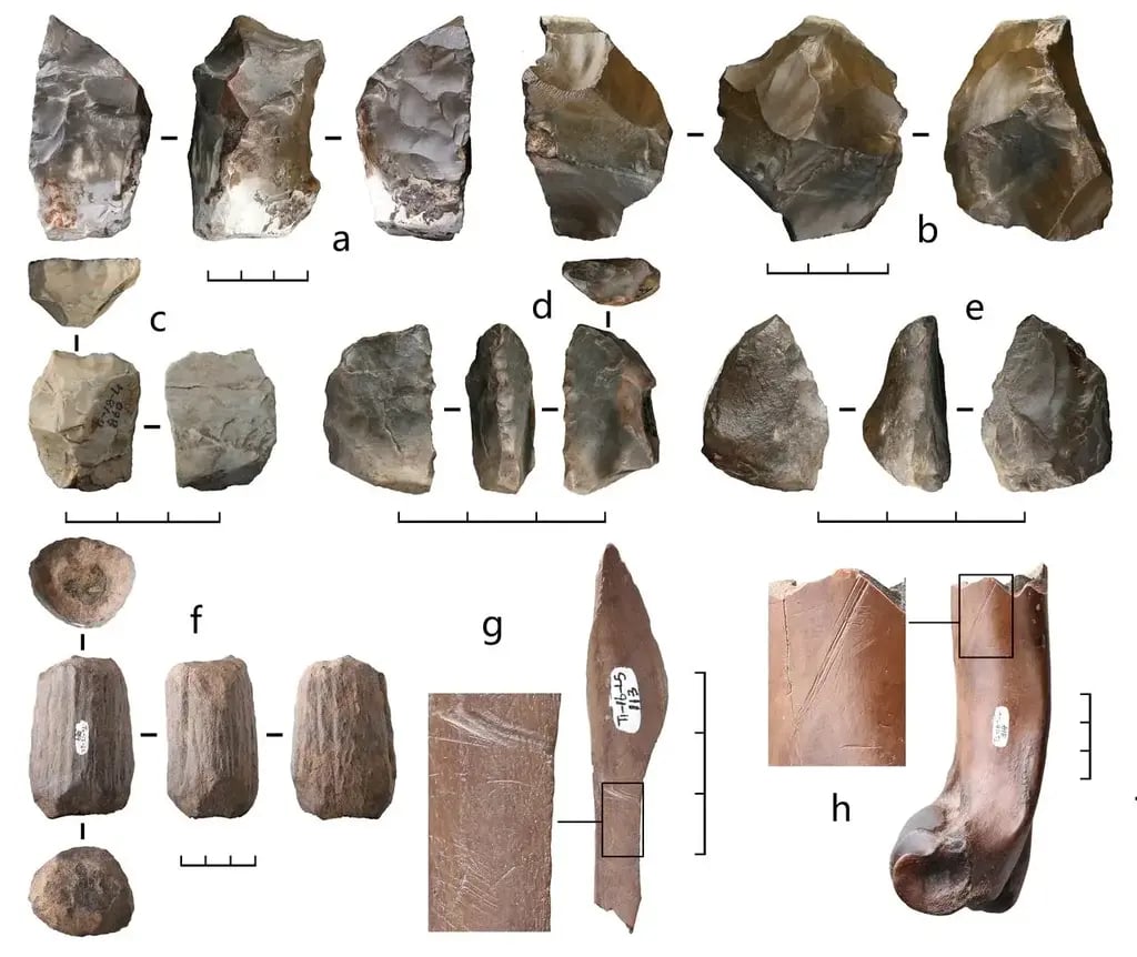 The more significant discovery concerns not the Denisovan bones themselves, but the tools they made and the animal bones found alongside them. Some of the stone and bone tools (Photo: Liu et al./Science) התגלית המשמעותית יותר נוגעת לא העצמות של הדניסובים עצמם, אלא הכלים שהם יצרו והעצמות של החיות שנמצאו לצידם. כמה מכלי האבן והעצם