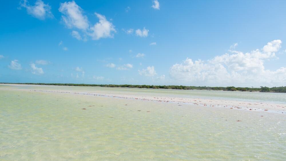 Holbox, Mexico: The Caribbean island that saw a 45% surge in searches (Photo: Shutterstock / Daniel.Petras14) הולבוקס, מקסיקו: האי הקריבי שרשם זינוק של 45% בחיפושים