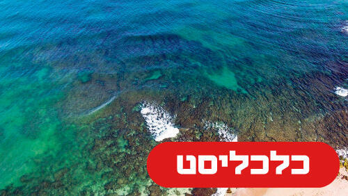 אצות סמוך למתקן ההתפלה באשקלון