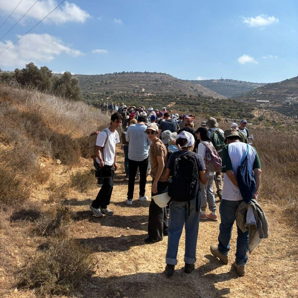 פעילים שליוו חקלאים פלסטינים במסיק עוכבו ע"י כוחות צה"ל