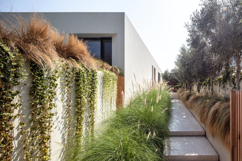 In the Israeli home, nature is neither a luxury nor a decorative accessory 