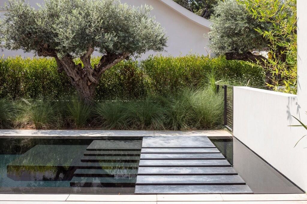 Vegetation connects us to the rhythms of life 
