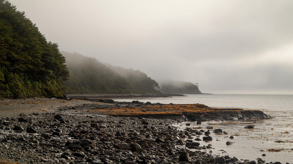 The coastline of Cape Froward along the Strait of Magellan in southern Chile (Photo: shutterstock / chrisontour84) קו החוף של כף פרוורד, לחופי מצר מגלן בדרום צ'ילה