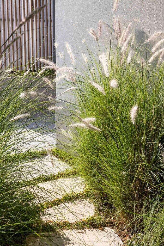 Vegetation is not an external addition but an essential component of the architectural concept 