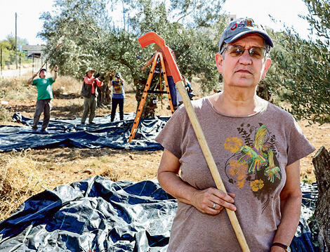 Rabbi Toba Spitzer: 'They say we're anarchists. I'm 63, Sue is 82 and Jo is 80. We're very frightening' (Photo: Shaul Golan) "שפיצר: "אומרים שאנחנו אנרכיסטים, שבאנו לעשות פרובוקציות. אני בת 63 , סו בת 82 וג'ו בת 80 . אנחנו מפחידות מאוד. מאוד. לא הייתי ממליצה לאיש להיתקל בנו"