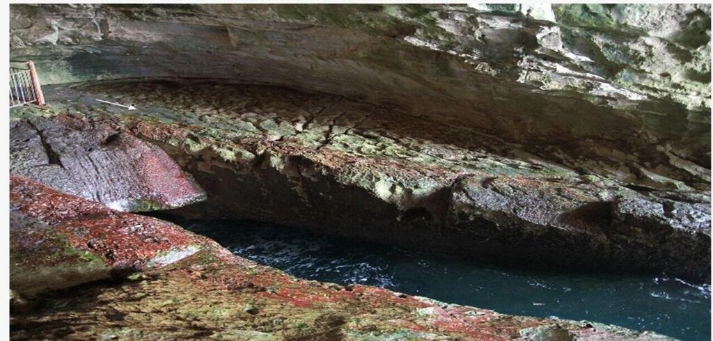 Red algae dominate the interior of the Rosh Hanikra sea caves (Photo: Prof. David Iluz) ת האצה האדומה שולטת בתוך הנקרות