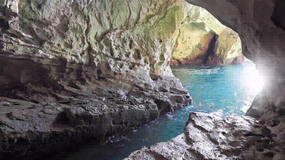 The red alga survives despite receiving only a fraction of the sunlight available outside the caves (Photo: Prof. David Iluz) האצה שורדת כמעט ללא אור
