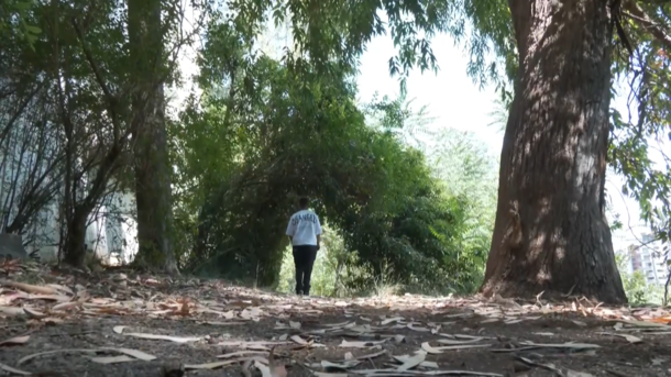 ןעוט... ןעוט...